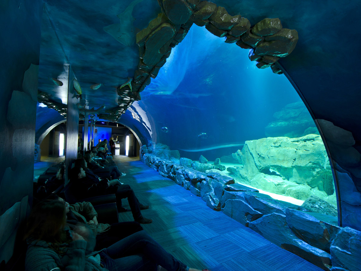 location aquarium