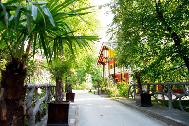 location chalet de la porte jaune